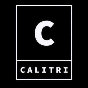 CALITRI & COMPANY